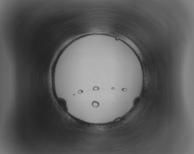 X0000100351096200806271357