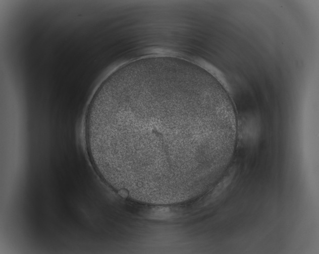 X0000100351098200806271357