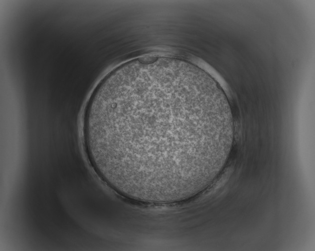 X0000100351099200806271357