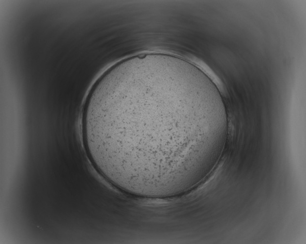 X0000100351100200806271356