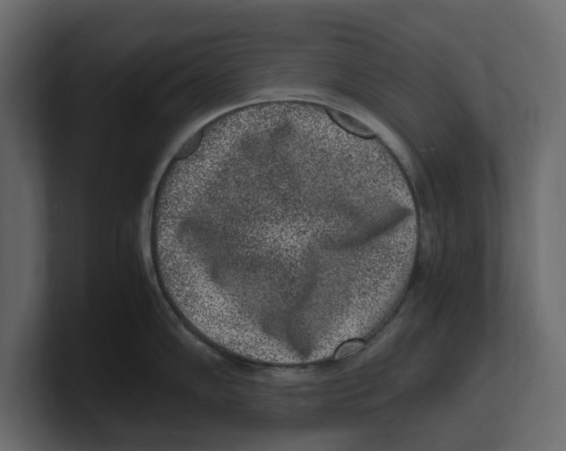 X0000100351102200806271356