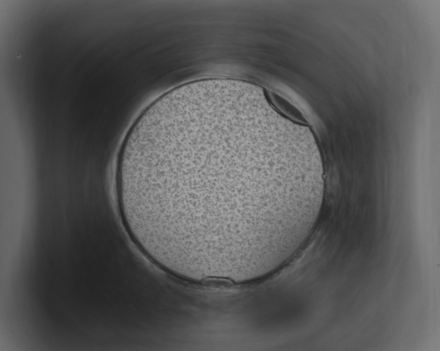 X0000100351103200806271356