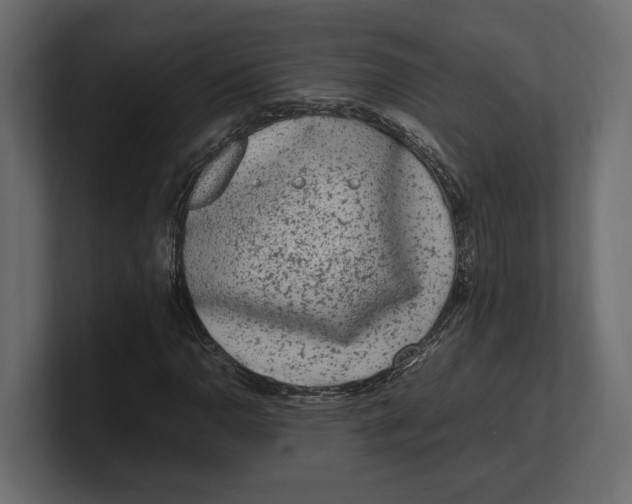 X0000100351110200806271356