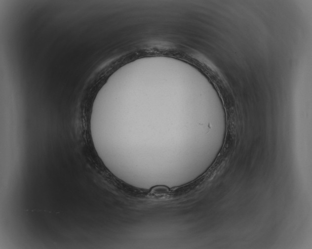 X0000100351112200806271356