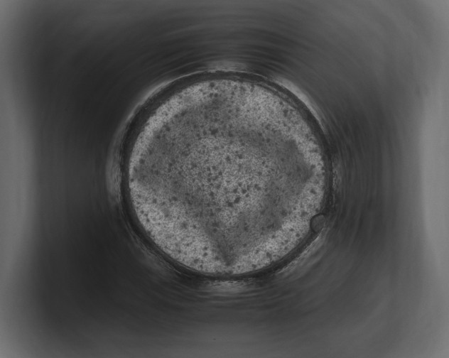 X0000100351115200806271356