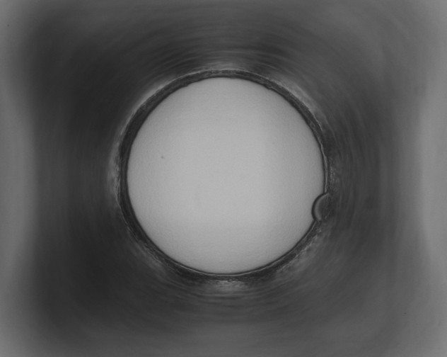 X0000100351119200806271356