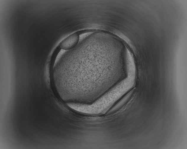 X0000100351120200806271356