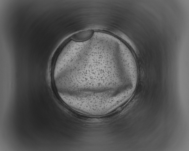 X0000100351124200806271356