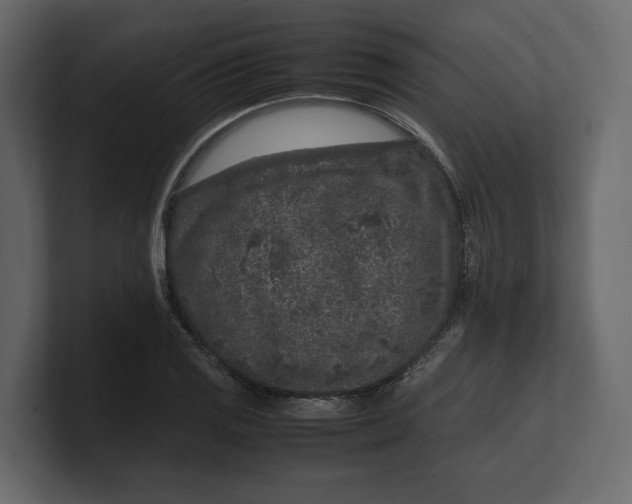 X0000100351125200806271356