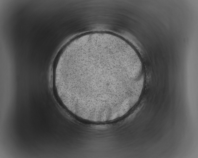 X0000100351126200806271356