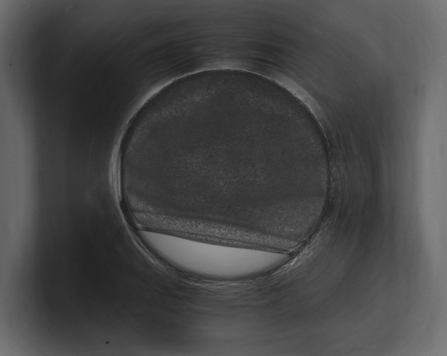 X0000100351127200806271356