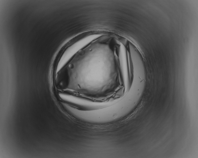 X0000100351128200806271356