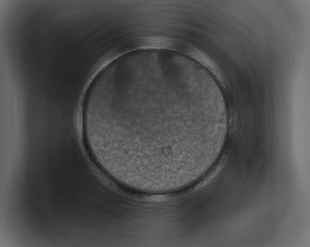 X0000100351130200806271356