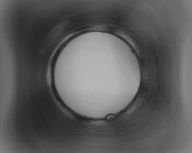 X0000100351131200806271356