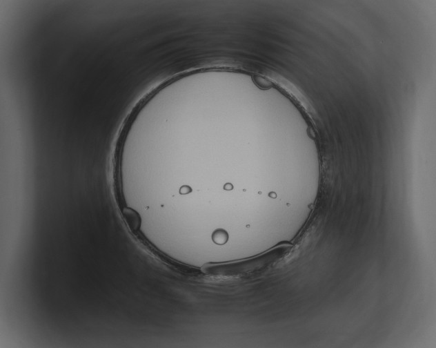 X0000100351135200806271356