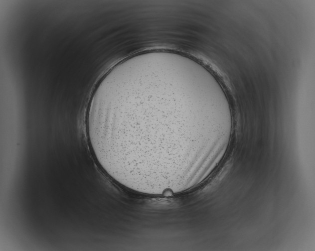 X0000100351137200806271356