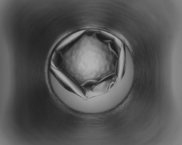 X0000100351138200806271356