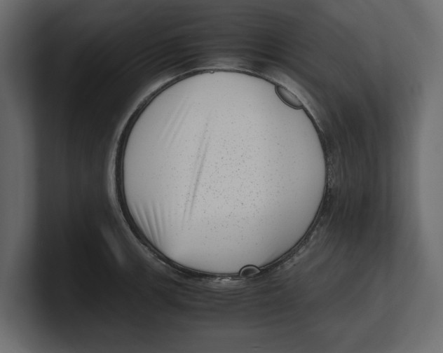 X0000100351139200806271356