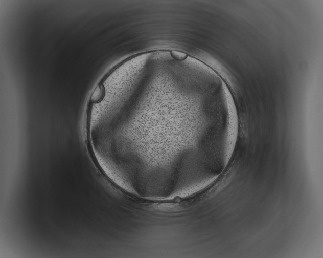 X0000100351140200806271356