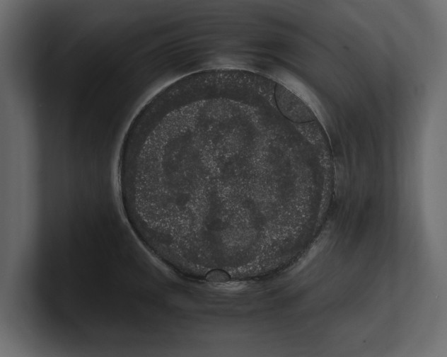 X0000100351141200806271356