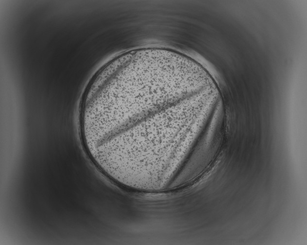 X0000100351142200806271356