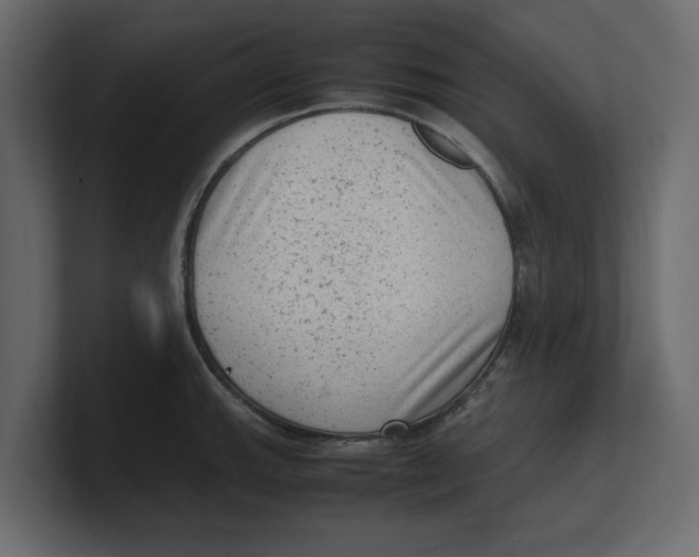 X0000100351143200806271356