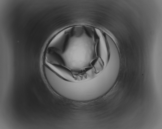 X0000100351144200806271356