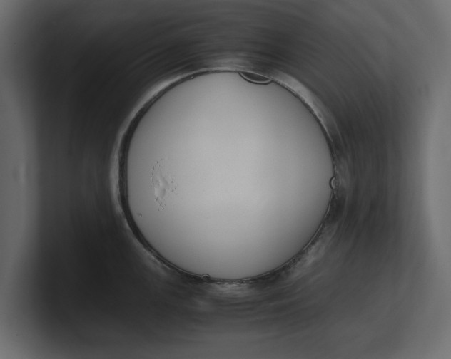 X0000100351147200806271356