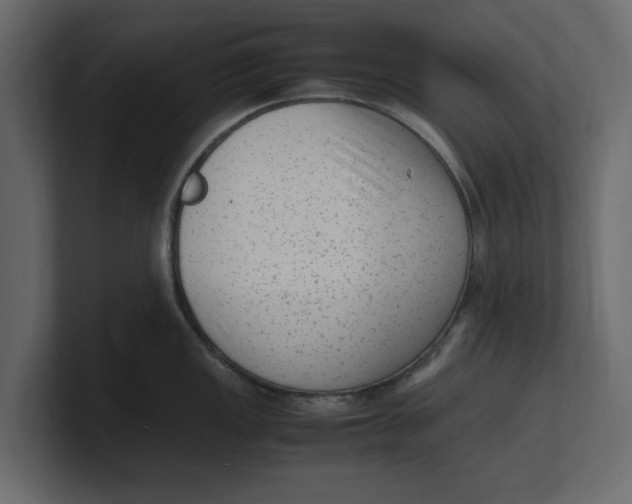 X0000100351149200806271356