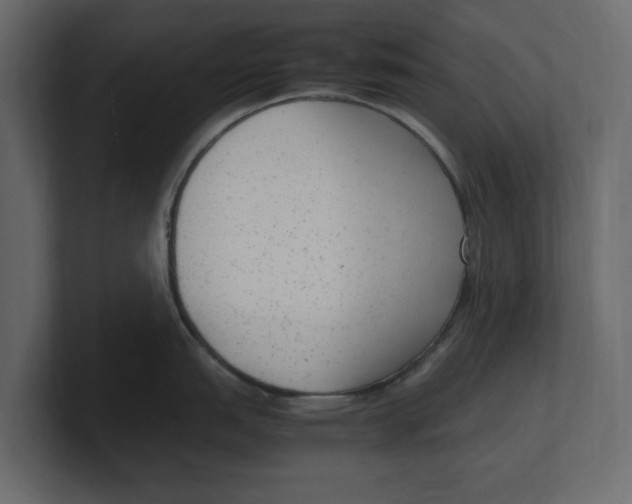 X0000100351151200806271356