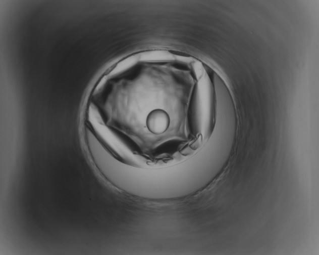 X0000100351152200806271356