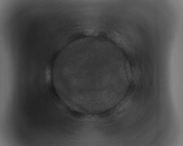 X0000100351154200806271356