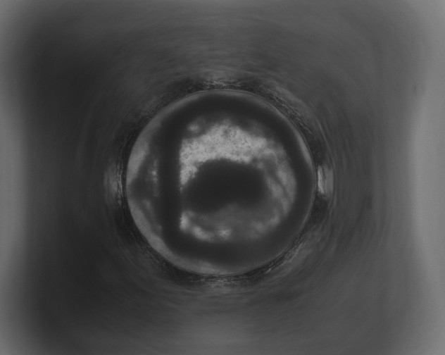 X0000100351155200806271356