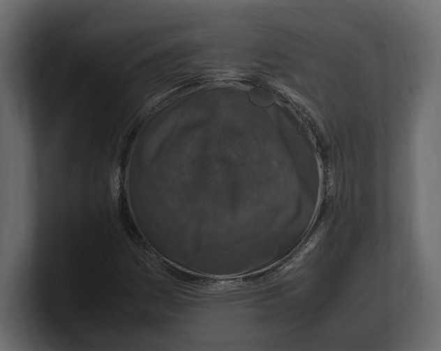 X0000100351161200806271356