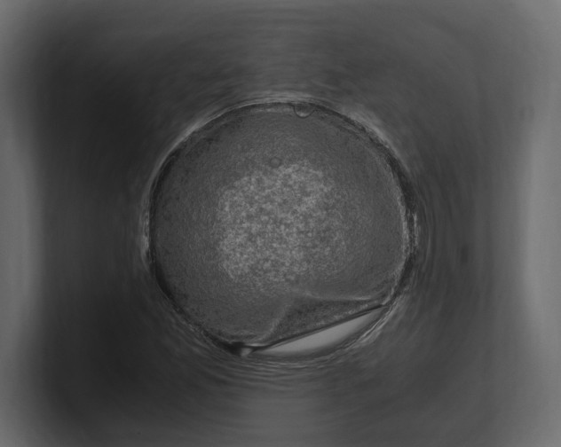 X0000100351165200806271356