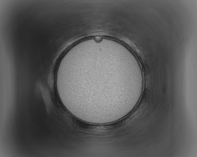 X0000100351167200806271356