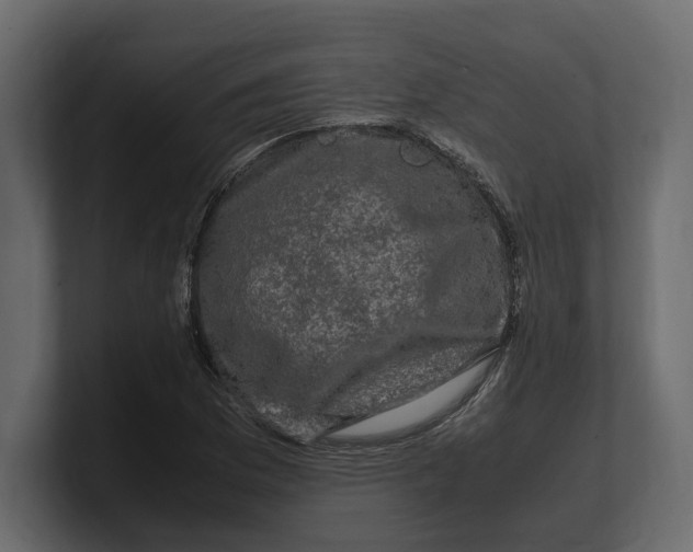 X0000100351169200806271356