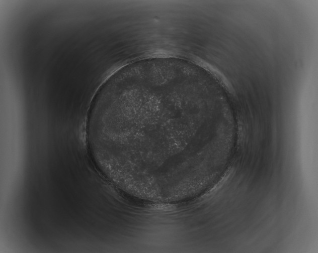 X0000100351170200806271356