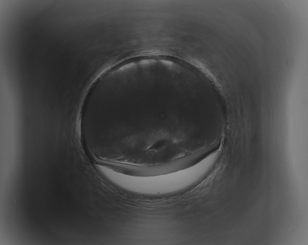 X0000100351173200806271356