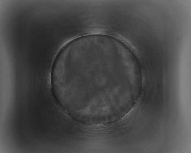 X0000100351174200806271356