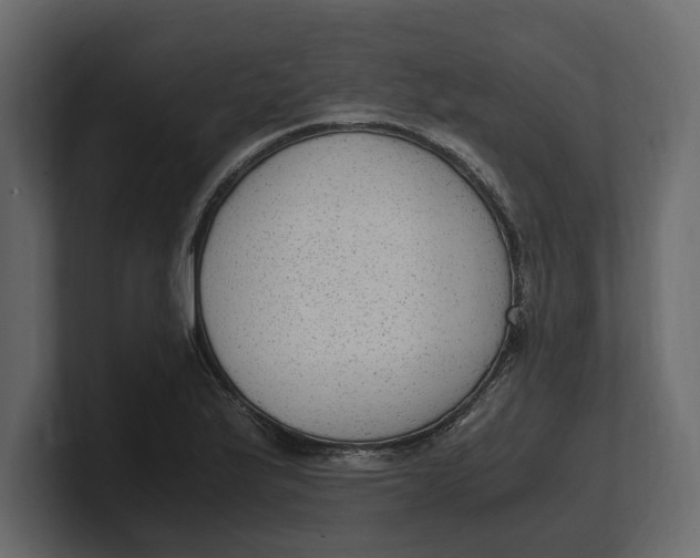 X0000100351175200806271355