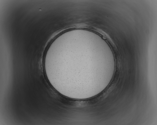 X0000100351176200806271355