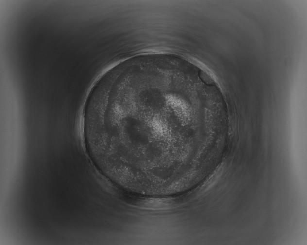 X0000100351179200806271355