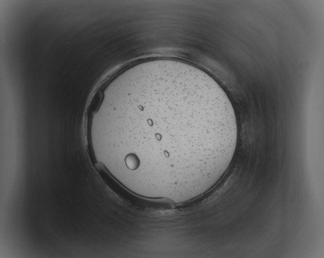 X0000100351180200806271355