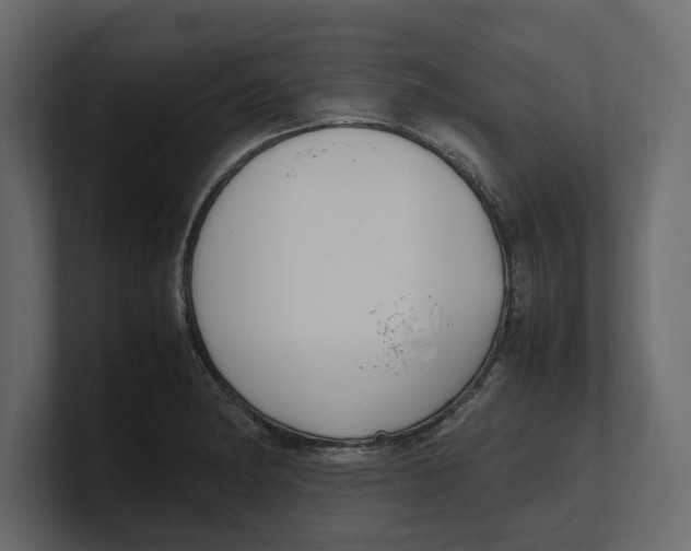 X0000100351182200806271355