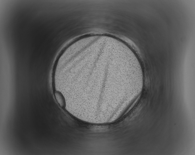 X0000100351183200806271355