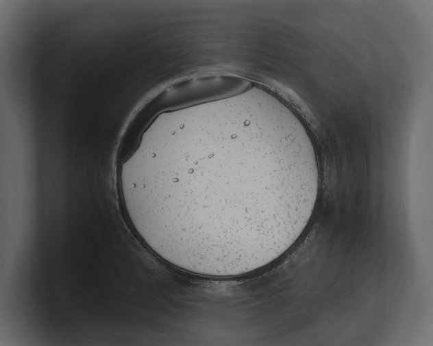 X0000100351184200806271355