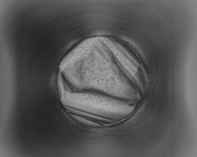 X0000100351185200806271355