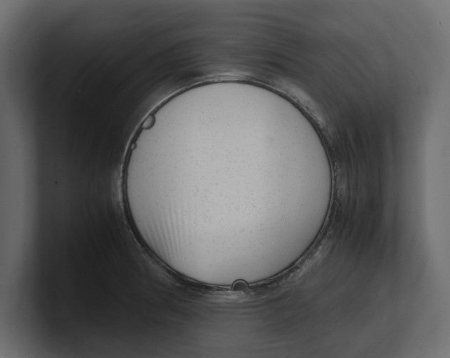 X0000100351186200806271355