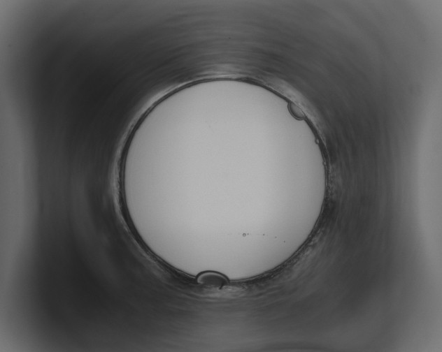 X0000100351187200806271355